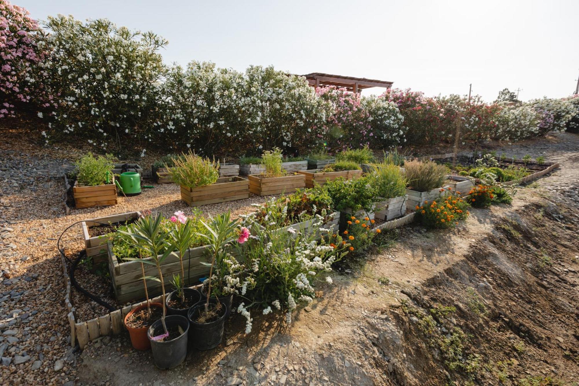 Monte Vale - Organic Farm Villa Entradas ภายนอก รูปภาพ